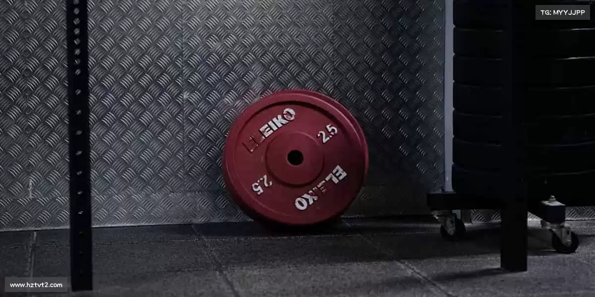 🚀 持续迭代更新,你的期待我们从未辜负!